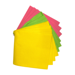 PACLAN ŚCIERKI UNIWERSALNE  EXPERT 10 SZT