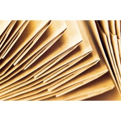 KOMPOSTOWALNE WORKI PAPIEROWE PACLAN 10L - 10 szt