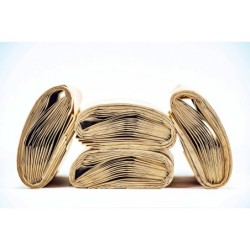 KOMPOSTOWALNE WORKI PAPIEROWE PACLAN 10L - 10 szt